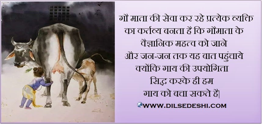 Cow's Importance