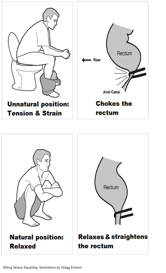 Scientific Reason why Indian toilet is best 5