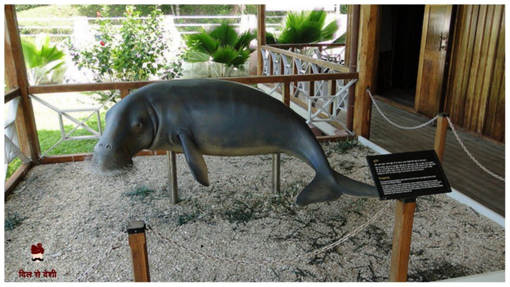 nteresting Fact About Andaman Nicobar in Hindi