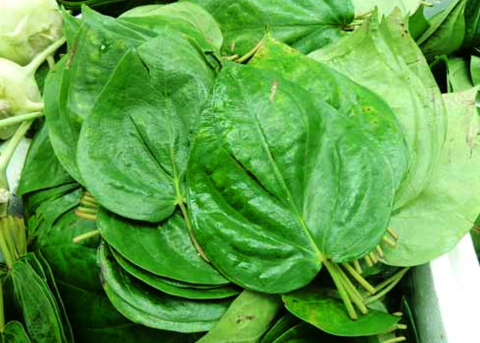 benefits of paan leaves