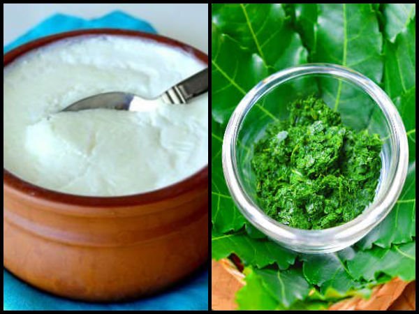 benefits of neem and curd