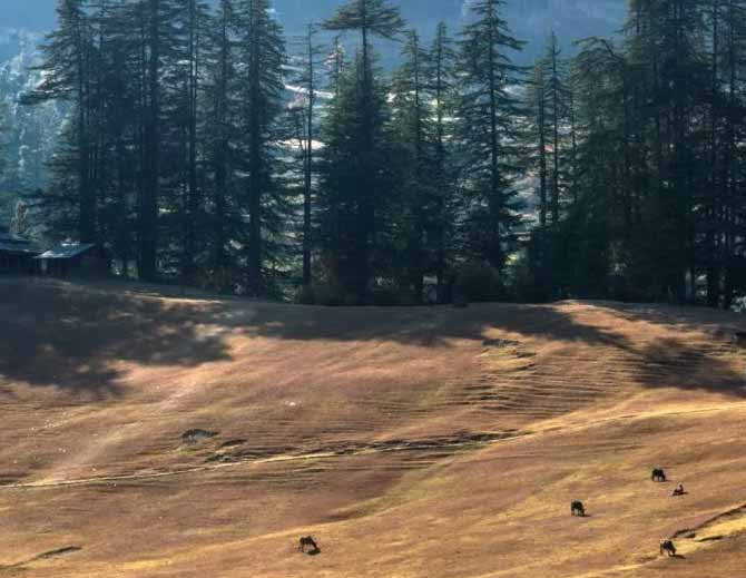 shangchul mahadev mandir himachal pradesh1