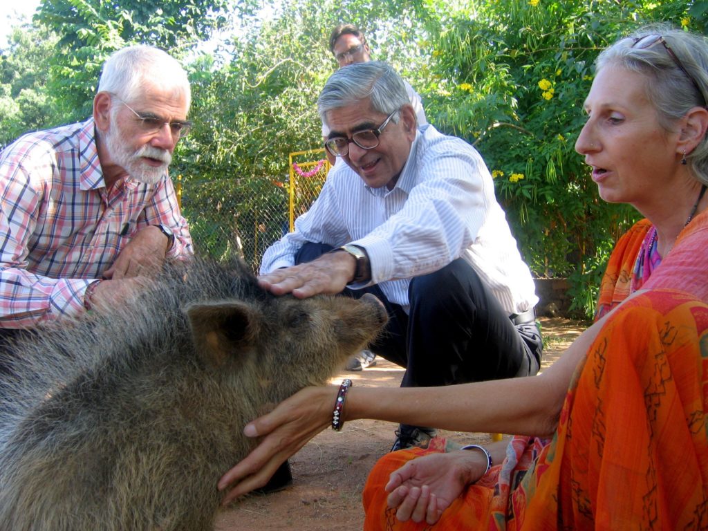 seattle family moved to india to rescue animals
