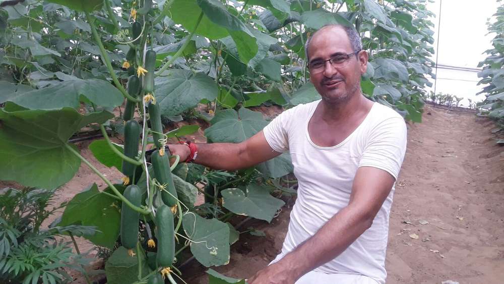 the farmer of rajasthan khemaram made his village a mini israeli turnover of 10 million annually