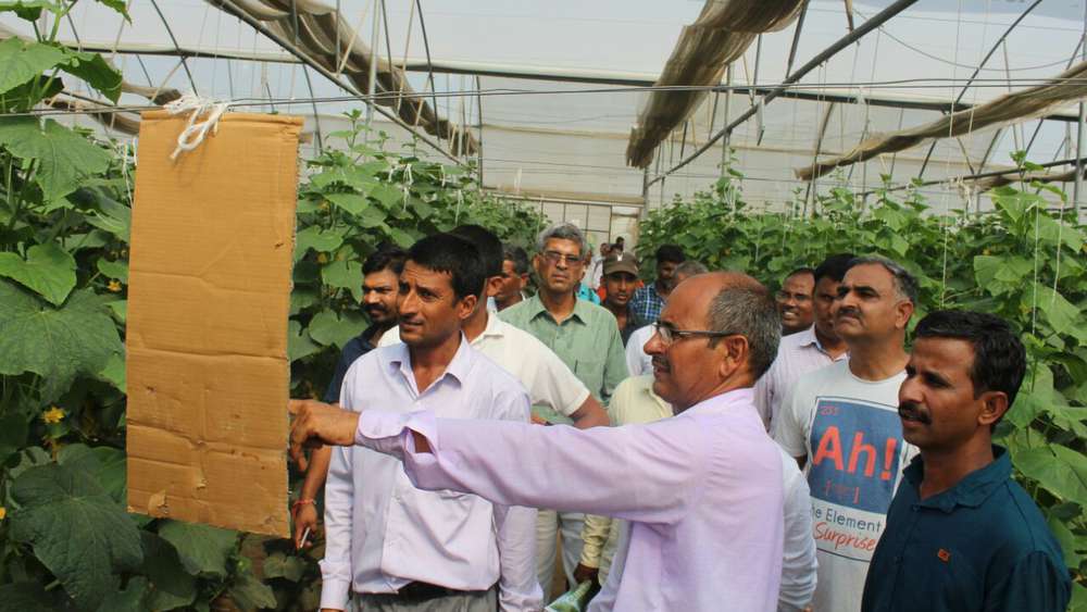 the farmer of rajasthan khemaram made his village a mini israeli turnover of 10 million annually