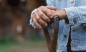 impoertance of doing fast