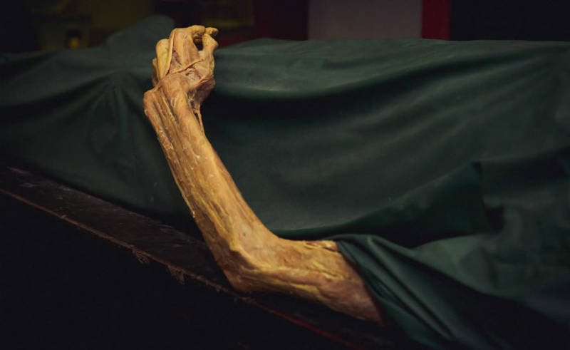 this is what happens with your body after you die