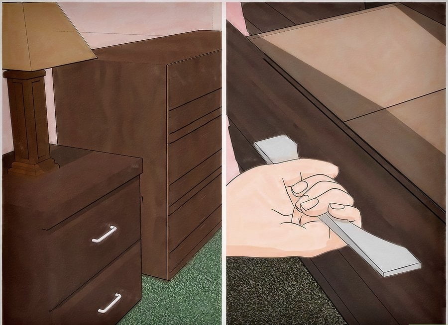 Khatmal Marne Ke Upay and Bed Bugs Home Treatment