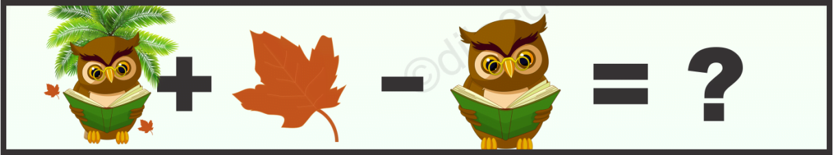 Owl, Leaf and Tree Puzzle Quiz Questions Answer