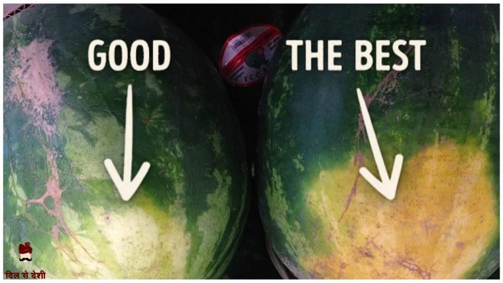 How to Identify Sweet Watermelon in Hindi