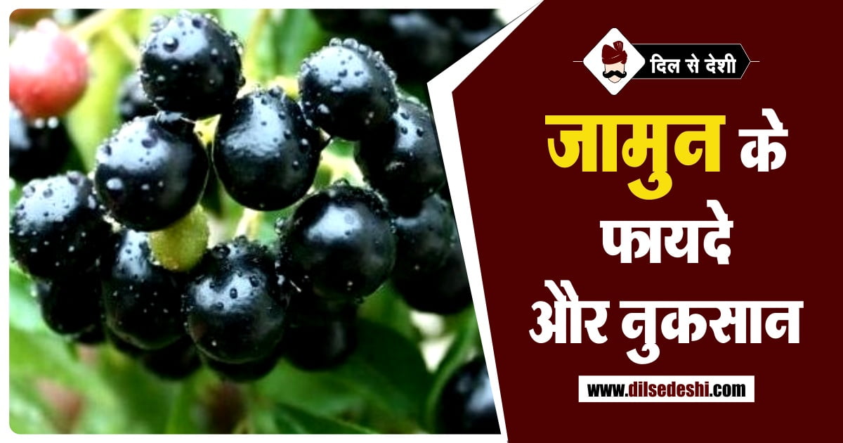 Jamun Ke Fayade aur Nuksan in Hindi