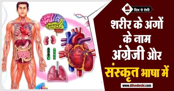 60 शरीर अंगों के नाम अंग्रेजी और संस्कृत भाषा में | Body Part Name in