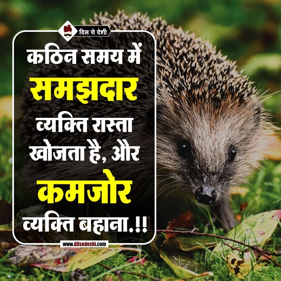 Best Time Quotes in Hindi (18)