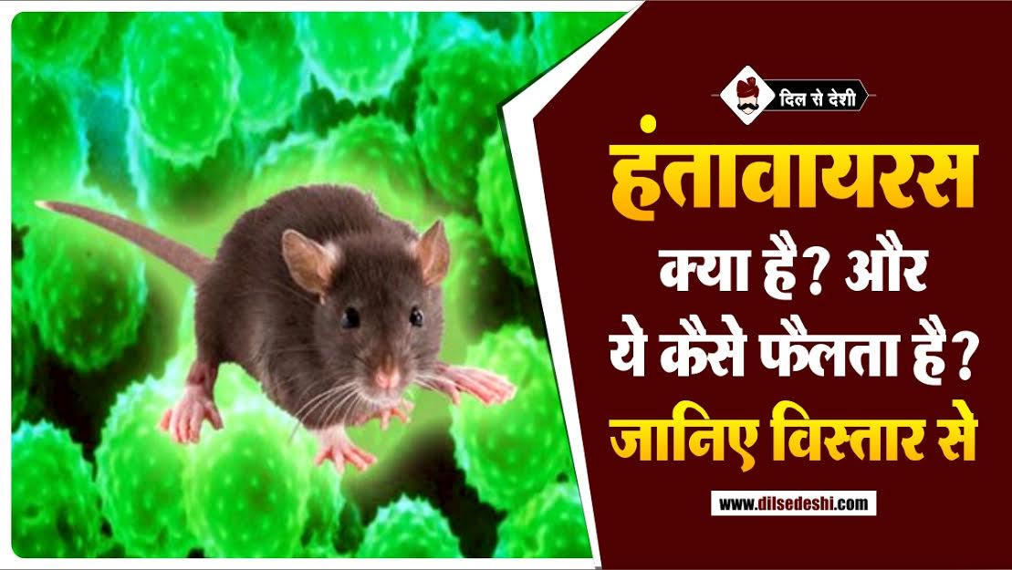 What is Hantavirus In Hindi