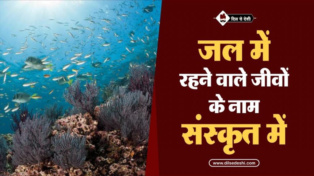 जलीय जीवों के नाम संस्कृत में | Aquatic (Water) Animals Name in Sanskrit