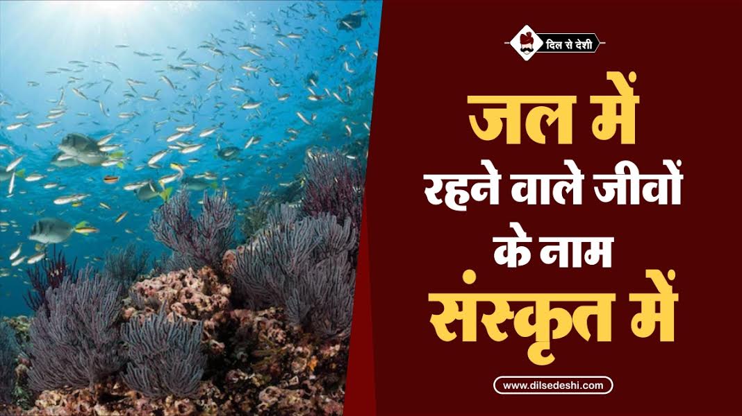 जलीय जीवों के नाम संस्कृत में Aquatic (Water) Animals