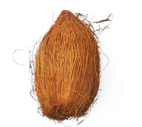Dussehra 2021 Totke